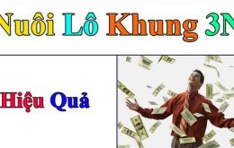 nuoi-lo-khung-3-ngay Bí kíp bắt lô bạch thủ khung 3 ngày chính xác tuyệt đối