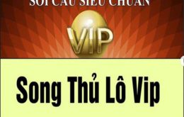 Khái niệm song thủ lô VIP